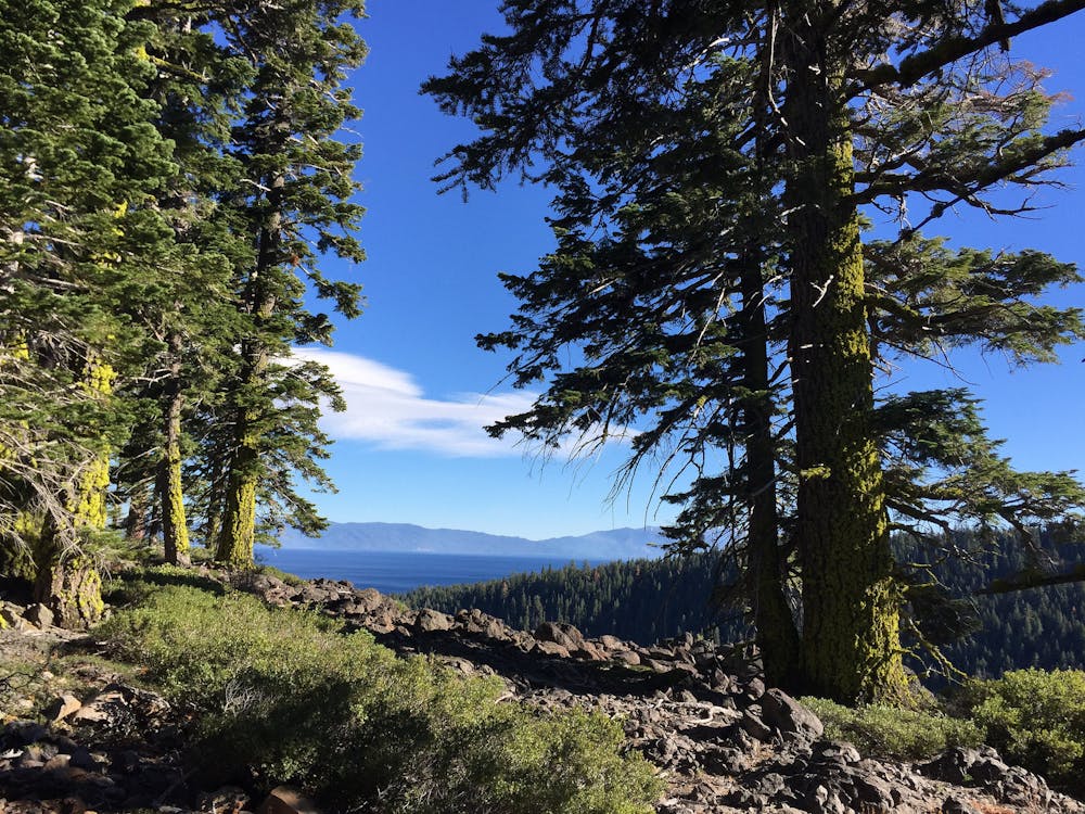 View along the Tahoe Rim Trail