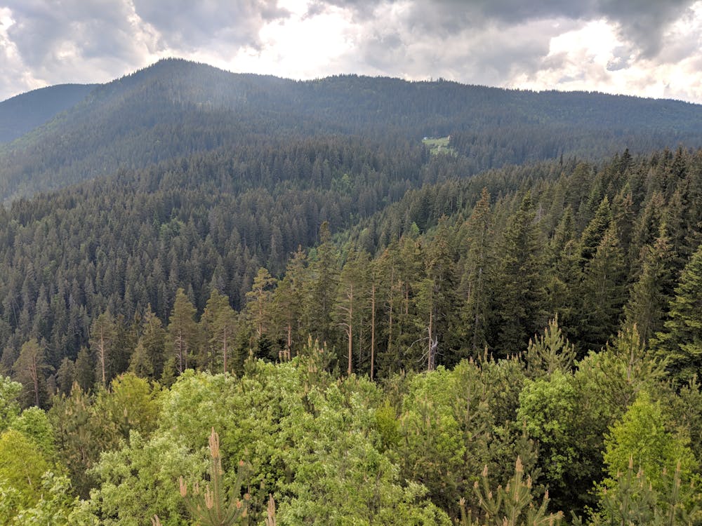 Photo from Yundola - Mt Arapchal - Kladova - Mt Milevi skali