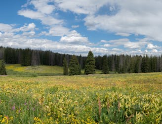 Continental Divide Trail: Rabbit Ears Pass to Steamboat Springs