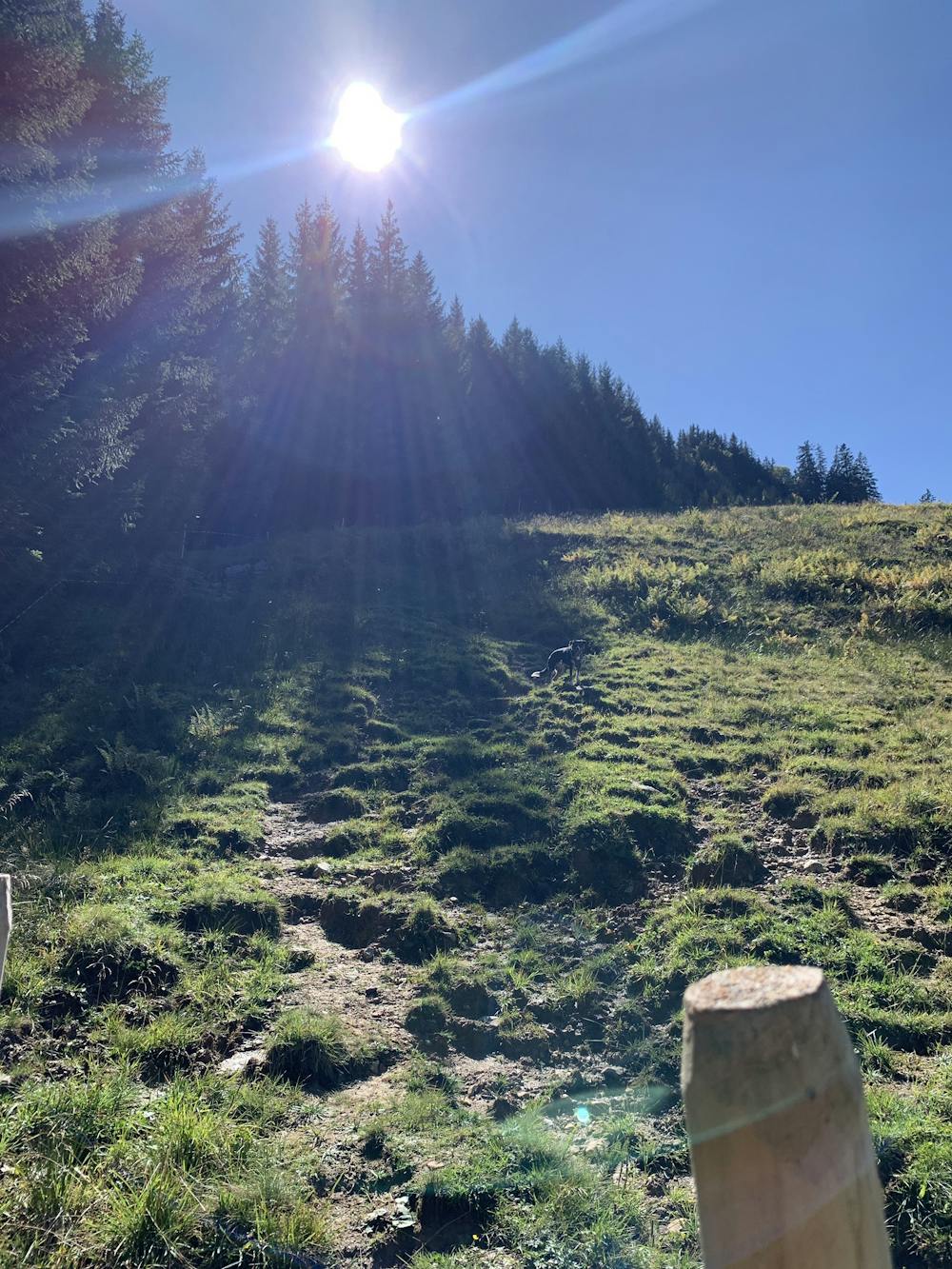 Photo from Iseler to Kühgundkopf Ridge Trail Run Loop