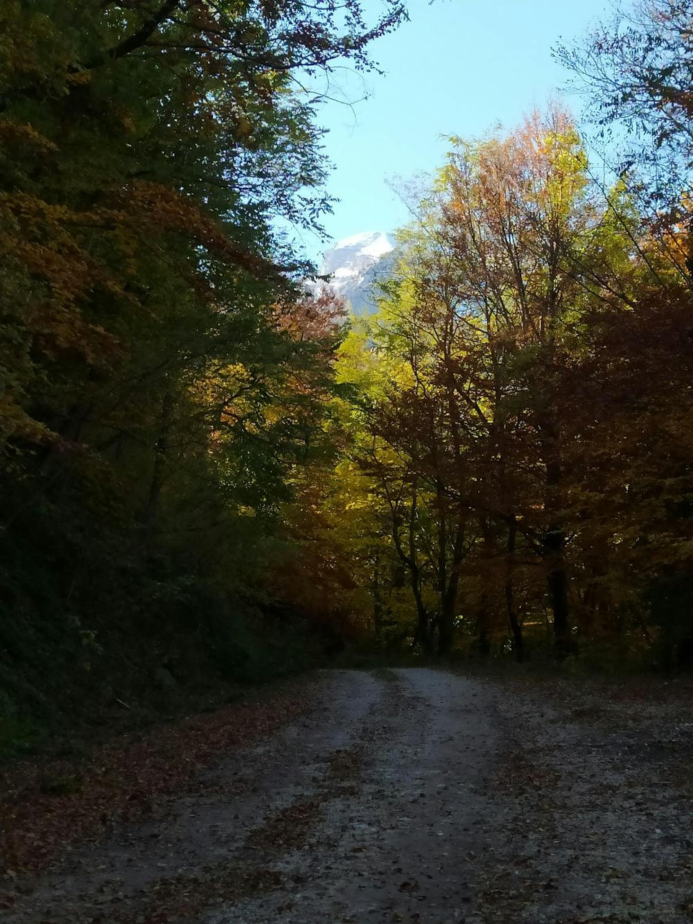 Photo from Foresta-Vetusta-Fonte-Novello-and-Rifugio-del-Monte
