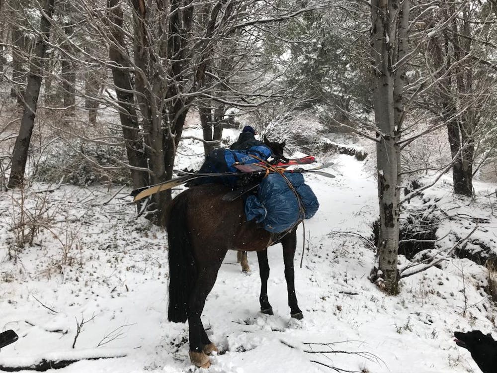 Horseback ride up to the refuge 