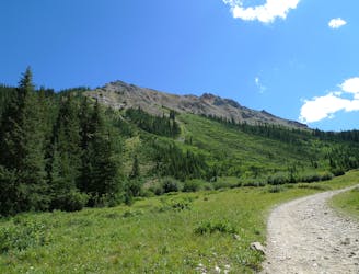 Conundrum Peak: South Ridge