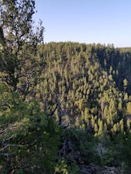 AZT: Walnut Canyon to Fisher Point