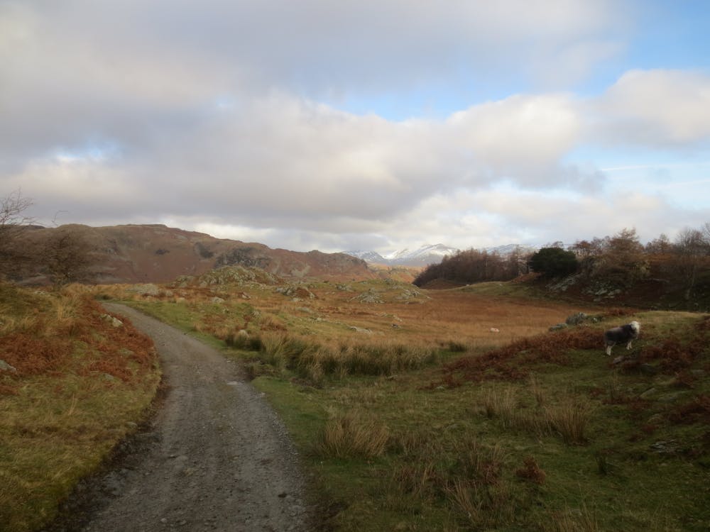 Over towards little Langdale Valley 3
