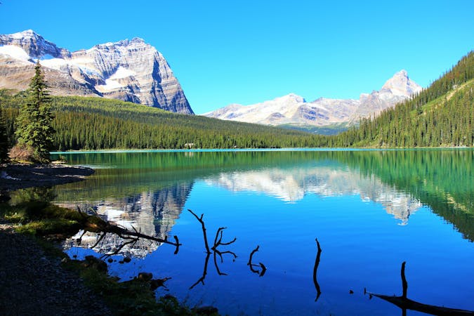 Hike and Dine in Yoho National Park