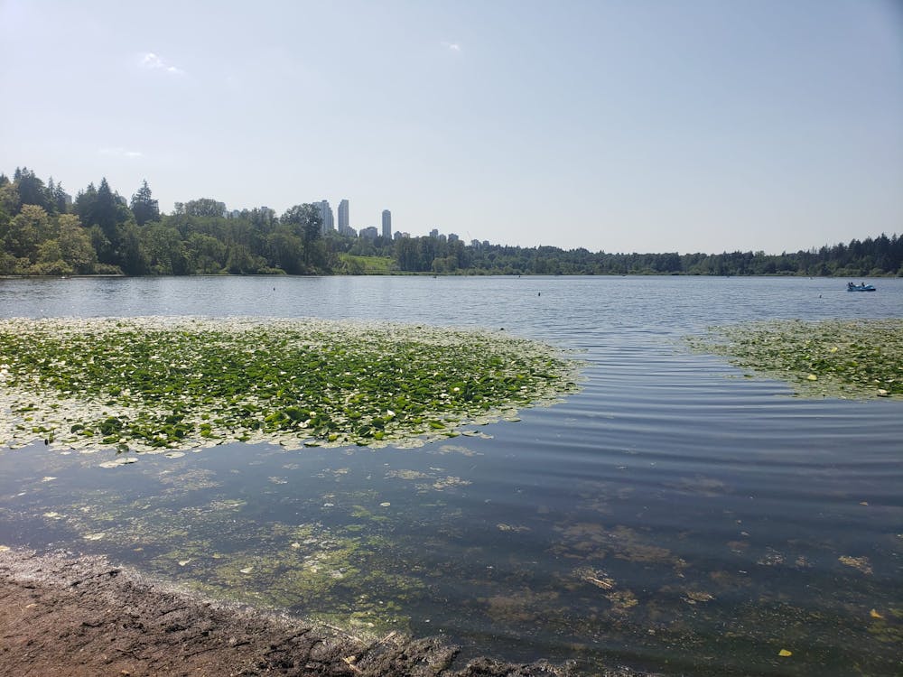 Deer Lake with the high rises of Vancouver visible behind