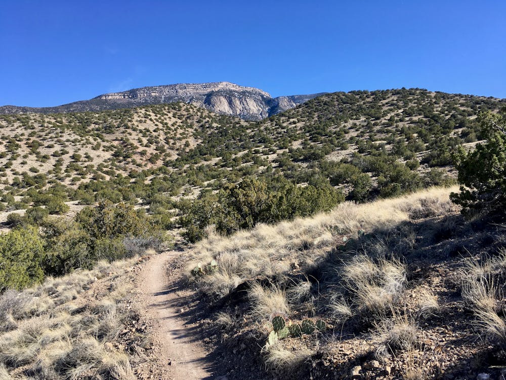 View of the mountains—the trail network stays lower in the desert.