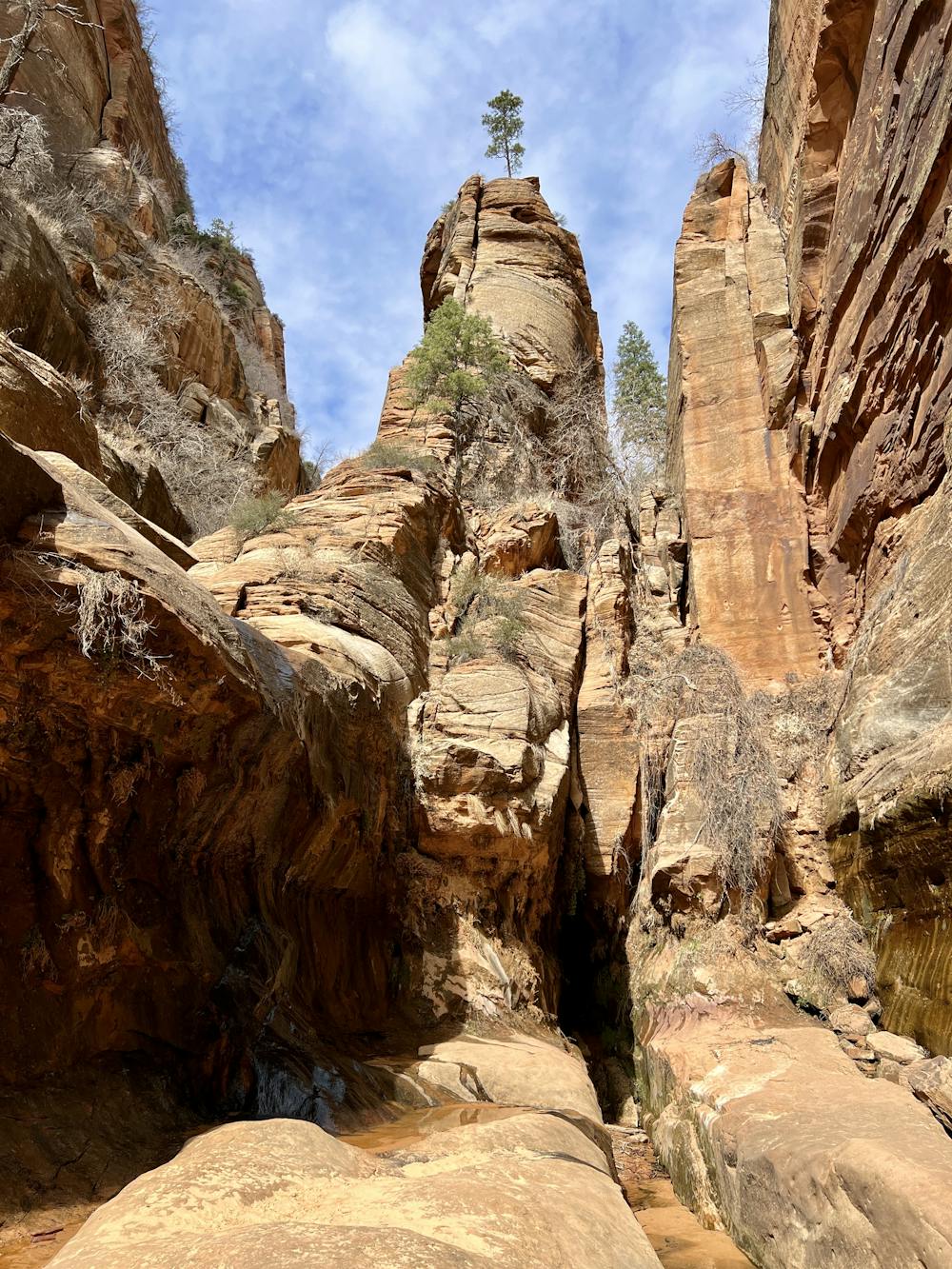 Photo from Water Canyon: To Top Rock