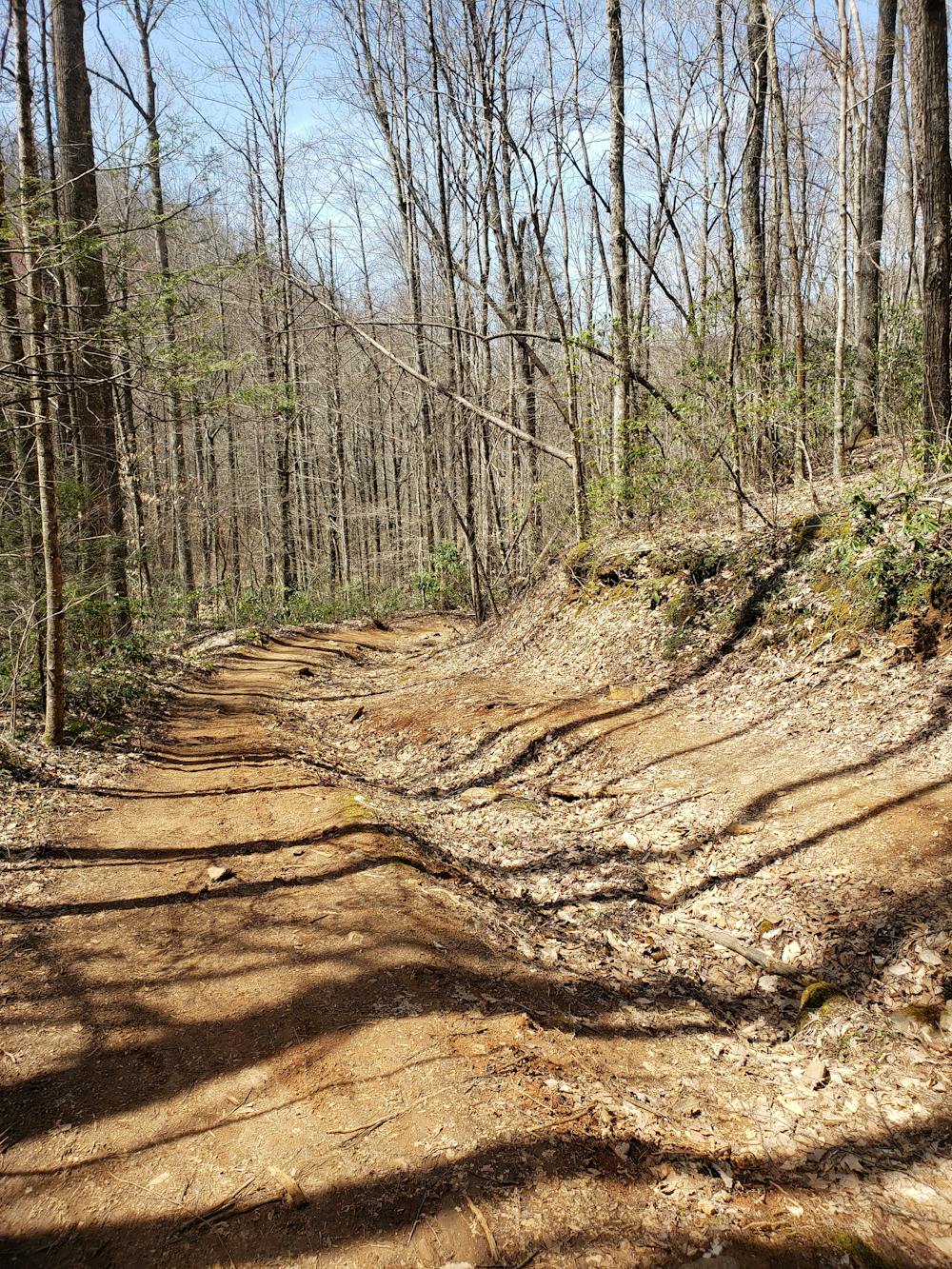 Photo from Big Ivy: Walker Creek DH