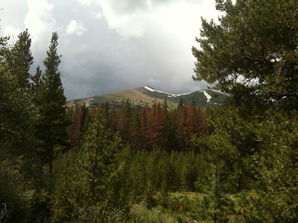 Photo from Peaks Trail Loop