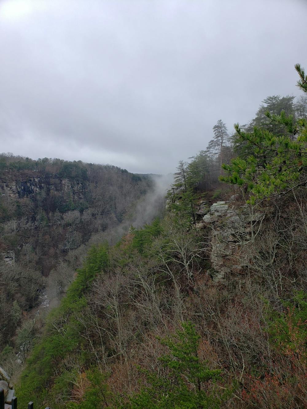 Photo from Cloudland Canyon: West Rim Loop
