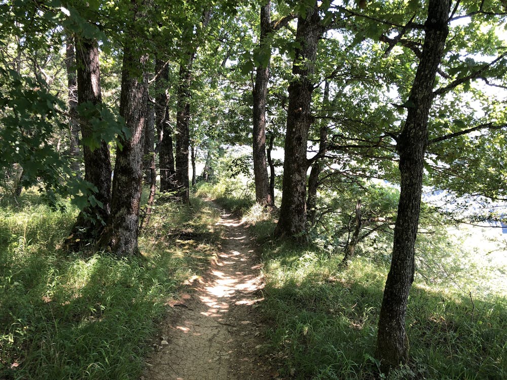 Photo from Rotberg und Geissberg Trails