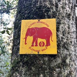 Elephant Trail - Red Route