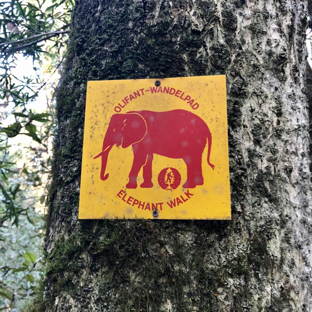 Photo from Elephant Trail - Red Route