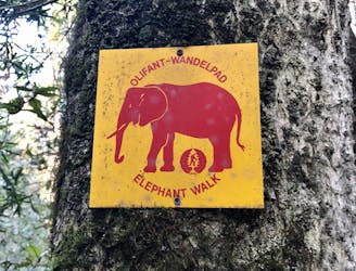 Elephant Trail - Red Route