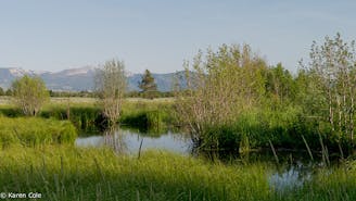 Beaver Ponds Loop