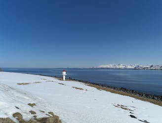Arnøyhøgda NE glacier