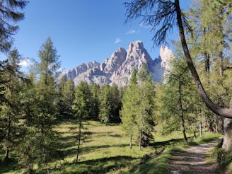 Cortina Parks Tour (Trail Running)