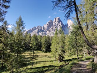Cortina Parks Tour (Trail Running)