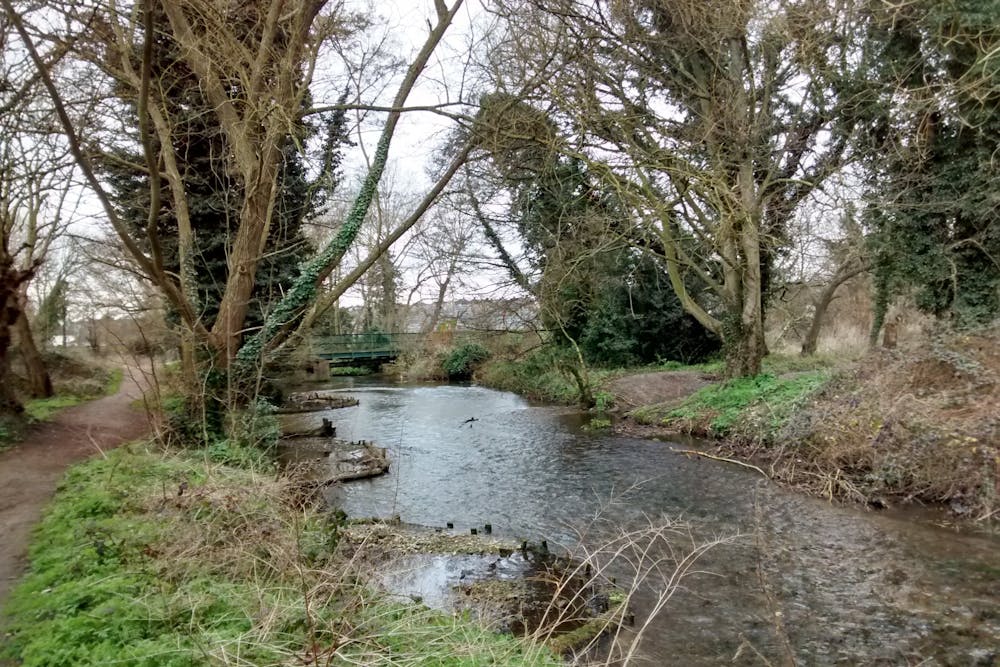 A clean and pleasant looking River Cray