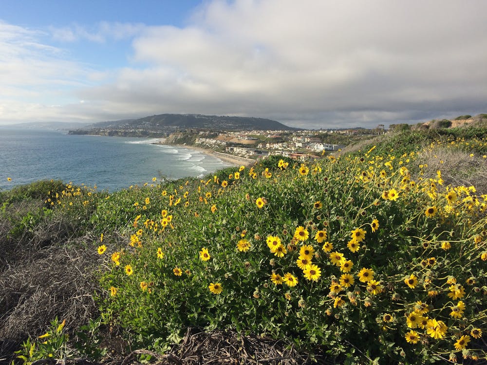 A great view from Dana Point in spring.
