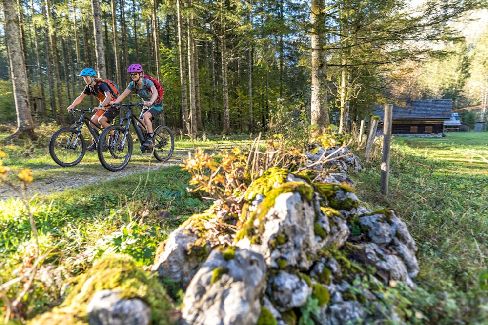 Mountainbiking in the forest of the Salzkammergut