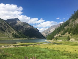 Lago di Livigno Out-And-Back
