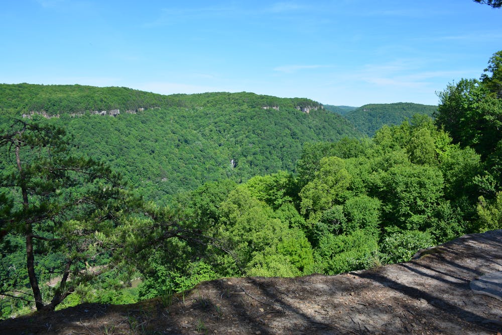 New RIver Gorge, Long Point Trail