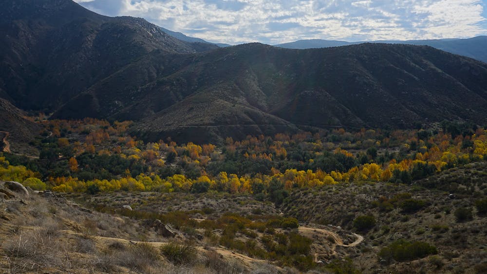 Fall colors in the San Diego River Gorge