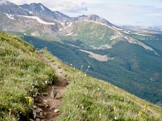 Colorado Trail: Miner's Creek Segment