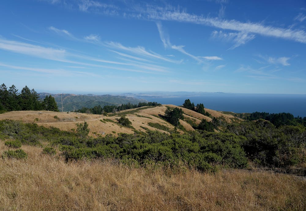 Photo from Dipsea Trail