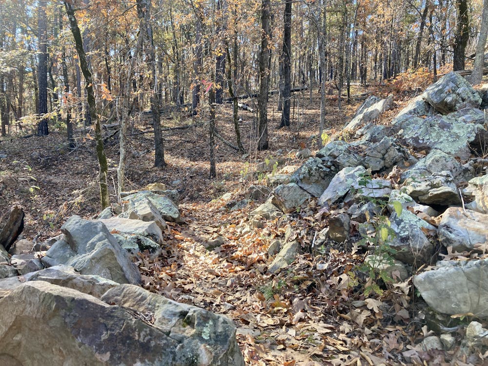 Photo from Iron Mountain: Red Trail