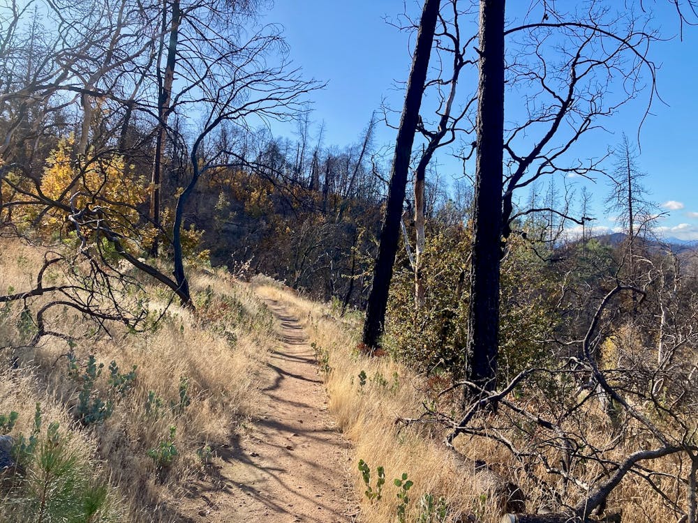 Photo from Princess Ditch Trail