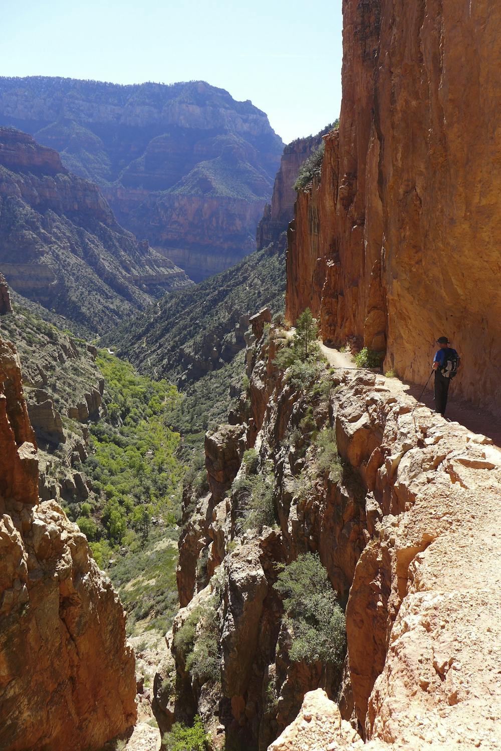 Photo from North Kaibab Trail