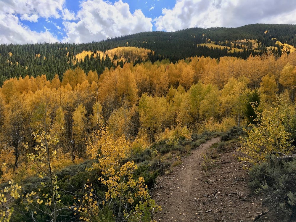 Photo from Colorado Trail: Twin Lakes to Clear Creek Reservoir