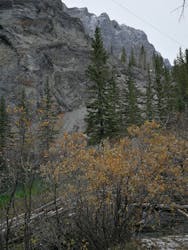 Grassi Lakes Trail (easy route)