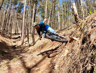 Ride CAMBA: Miles of Flowy Trails in Northern Wisconsin