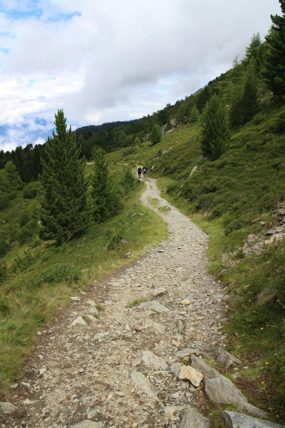 Typical terrain on the hike