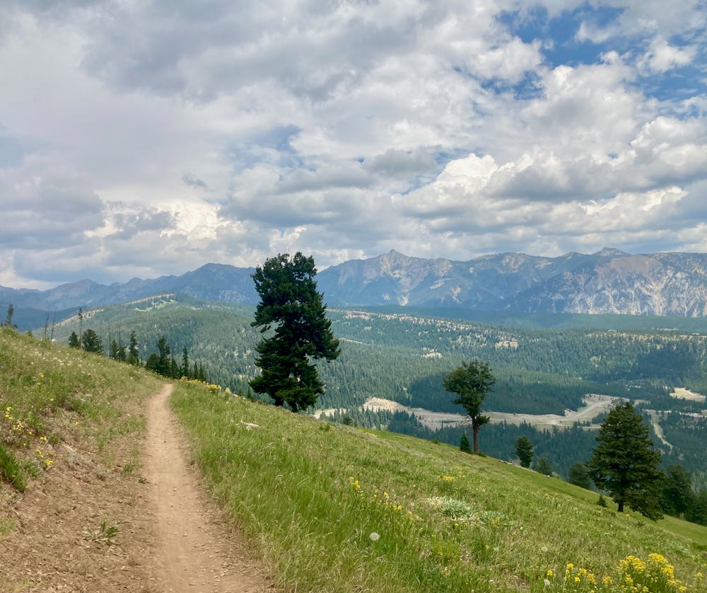 Mountain to Meadow Trail