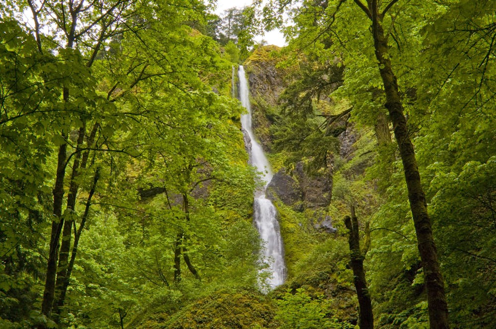 Photo from Starvation Creek Waterfalls