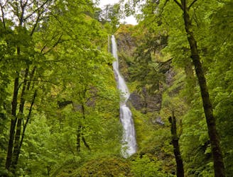Starvation Creek Waterfalls