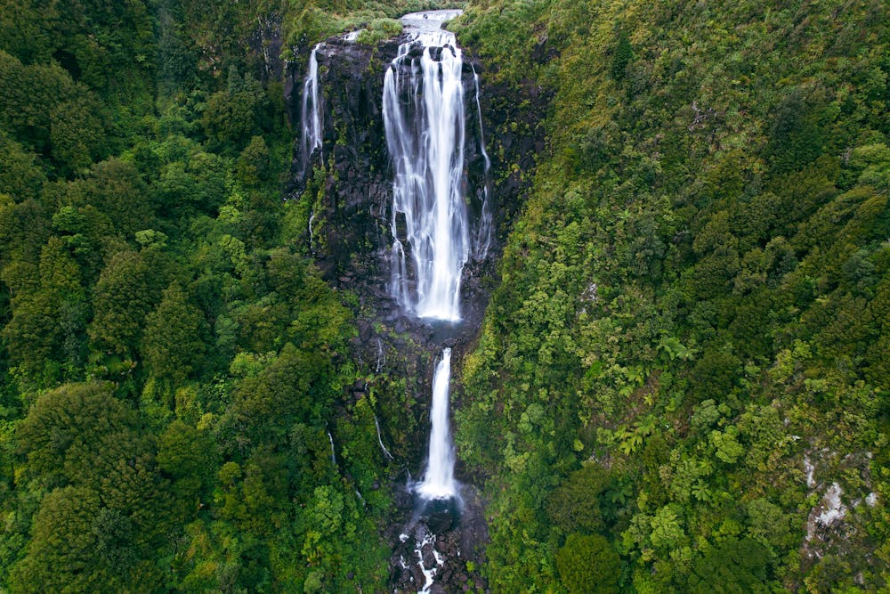 Wairere Falls Track
