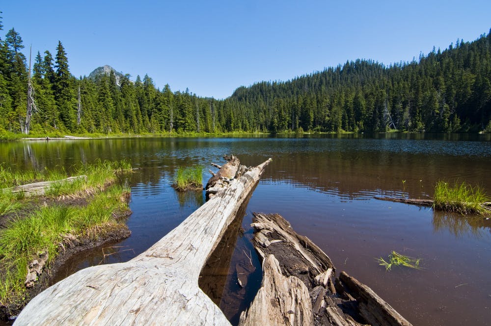 A forest lake near Snoqualmie Pass