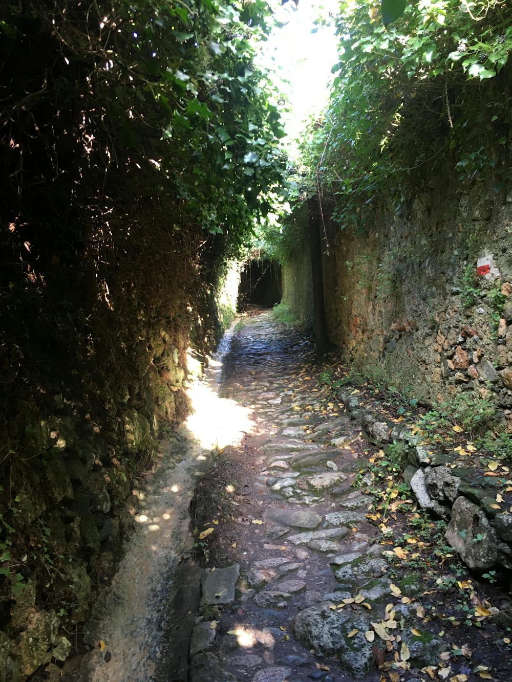 Photo from Trail del Marchesato