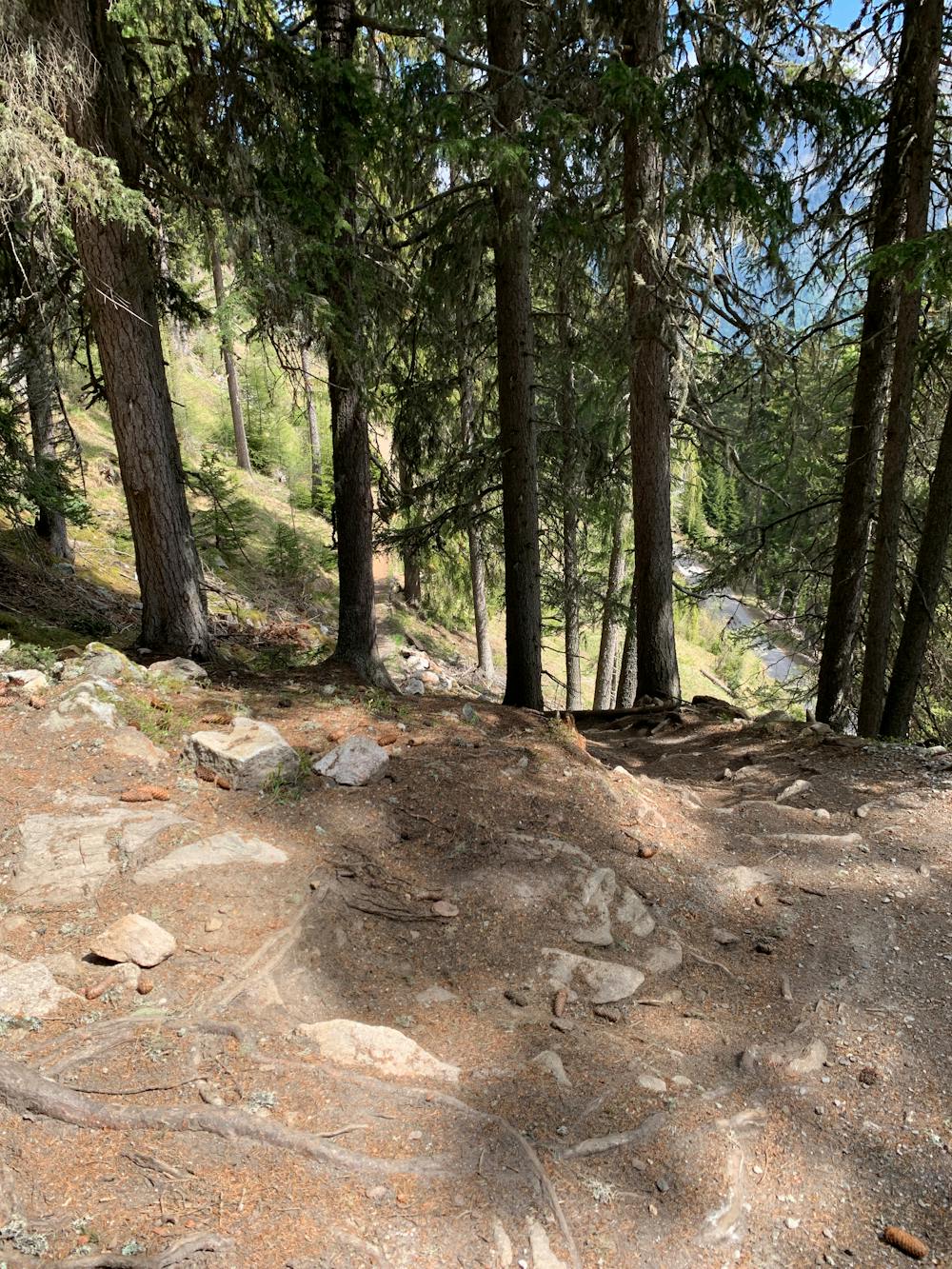 Photo from Lower Schöneben Trail
