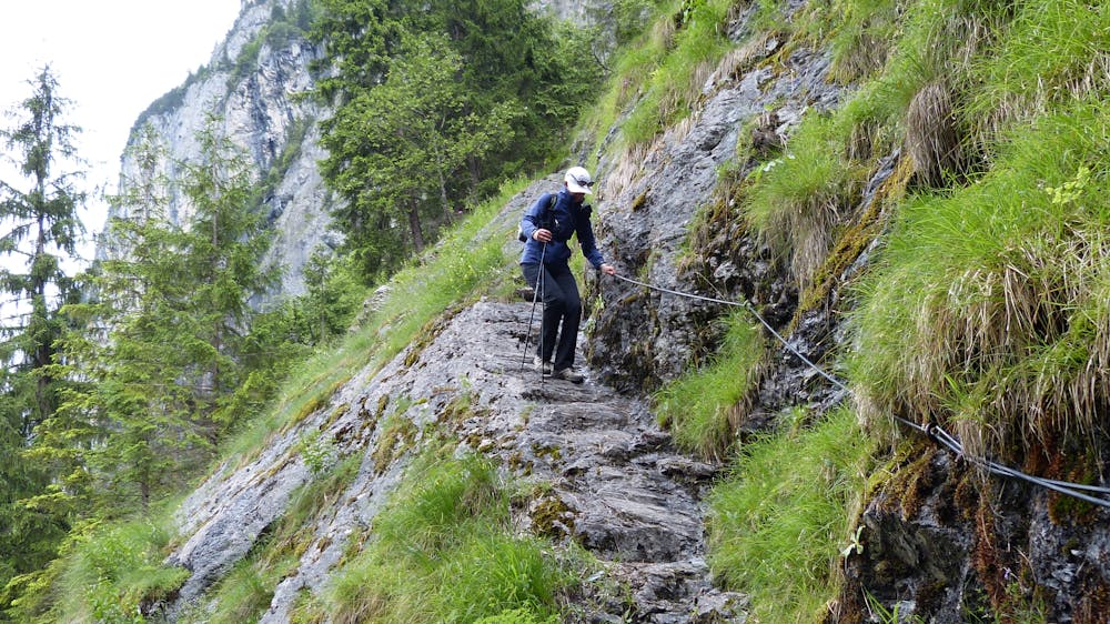 Photo from Stunning Kleine Scheidegg to Lauterbrunnen (Descent)