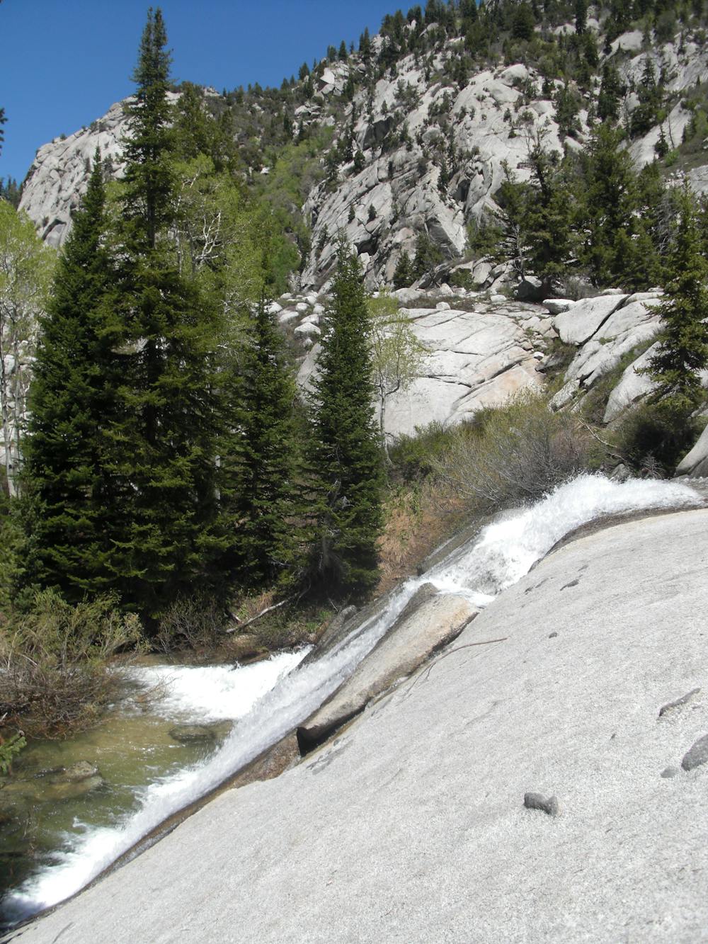 The meadow above the Upper Falls in Bells Canyon