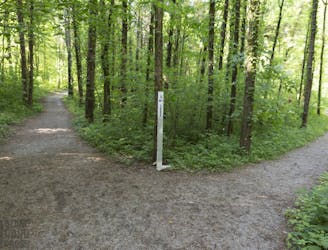 Cedar Sink Trail