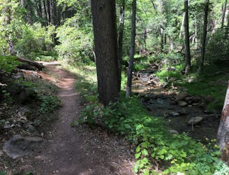 Horton Creek Trail
